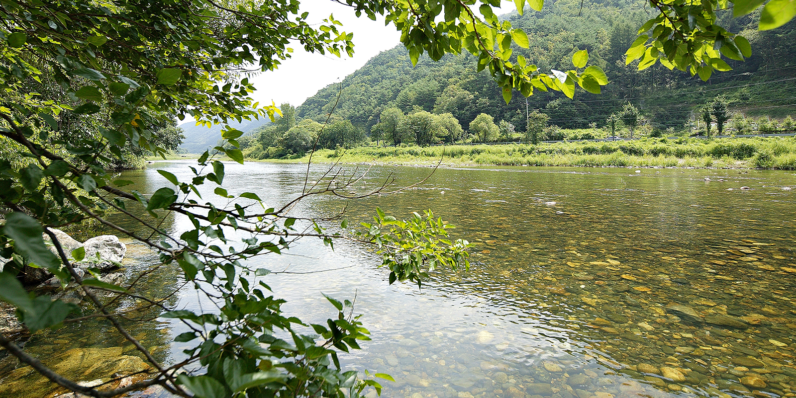 수변 액티비티