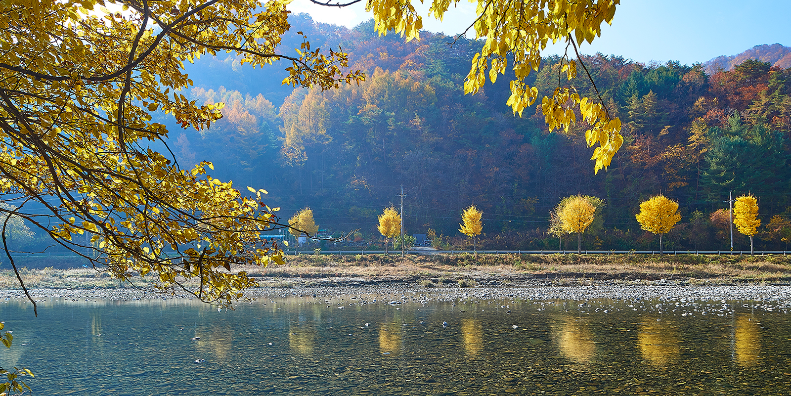 수변 액티비티